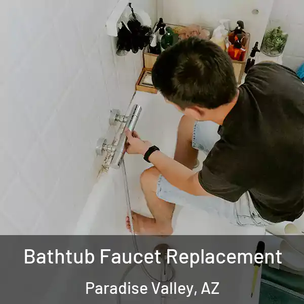  Bathtub Faucet Replacement Paradise Valley, AZ