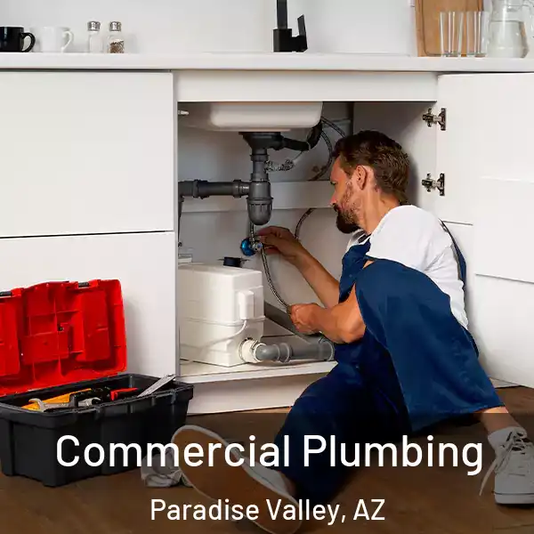  Commercial Plumbing Paradise Valley, AZ