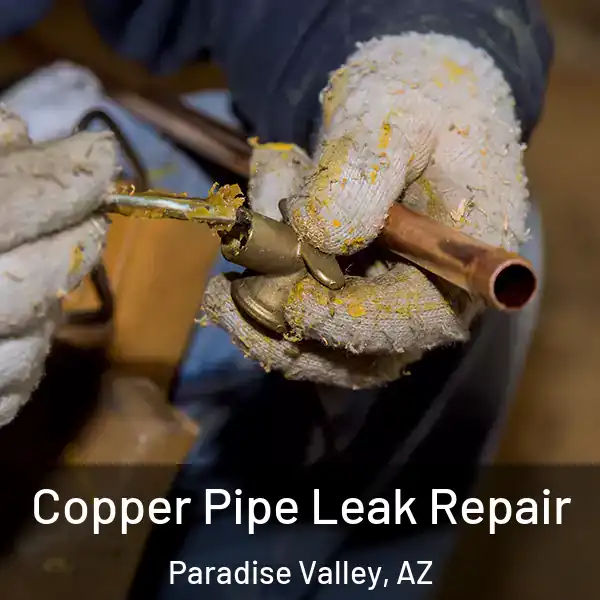  Copper Pipe Leak Repair Paradise Valley, AZ