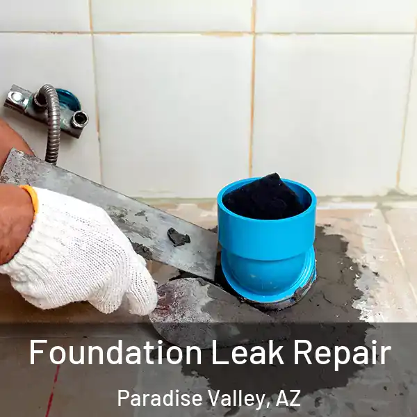  Foundation Leak Repair Paradise Valley, AZ