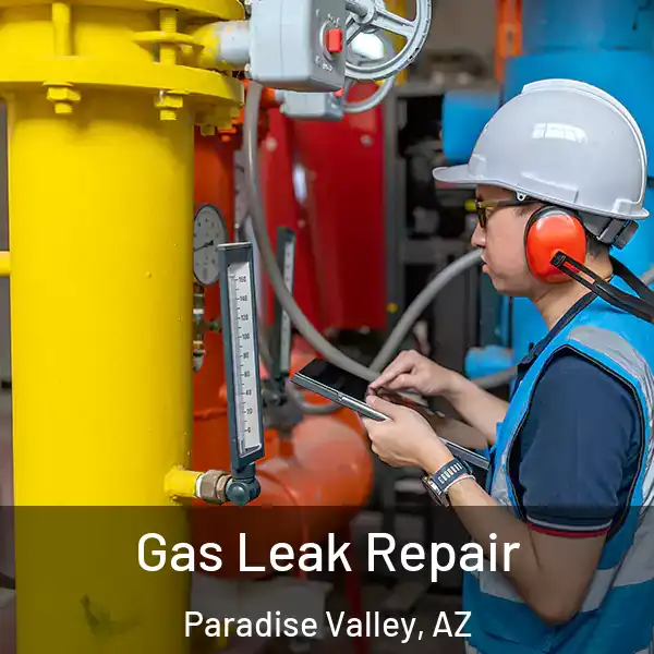  Gas Leak Repair Paradise Valley, AZ