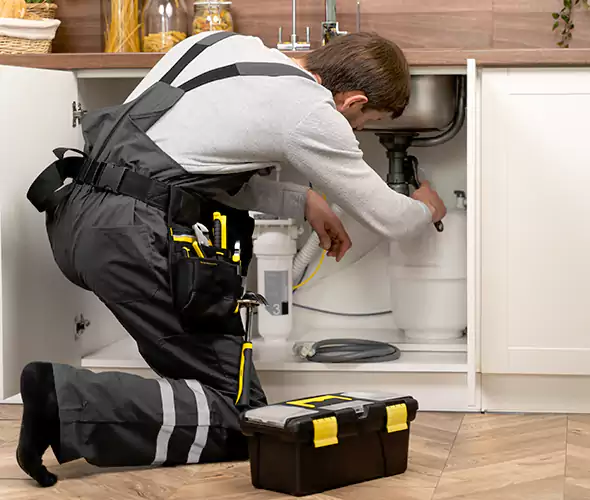 Certified Plumbers for Insinkerator Installation in Paradise Valley