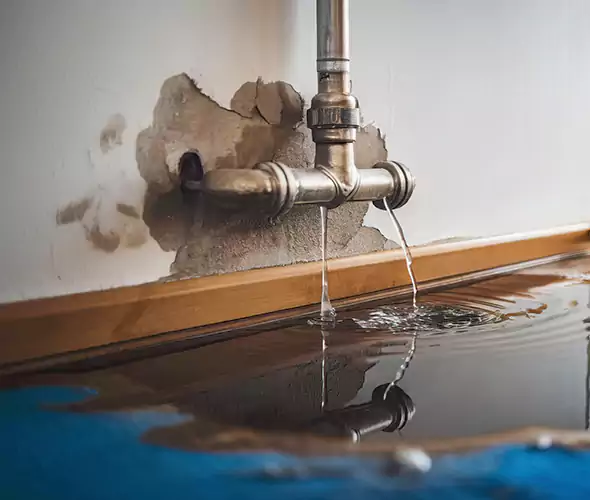 Professional Water Damage Restoration Experts in Paradise Valley, AZ — Fast, Reliable & Certified
