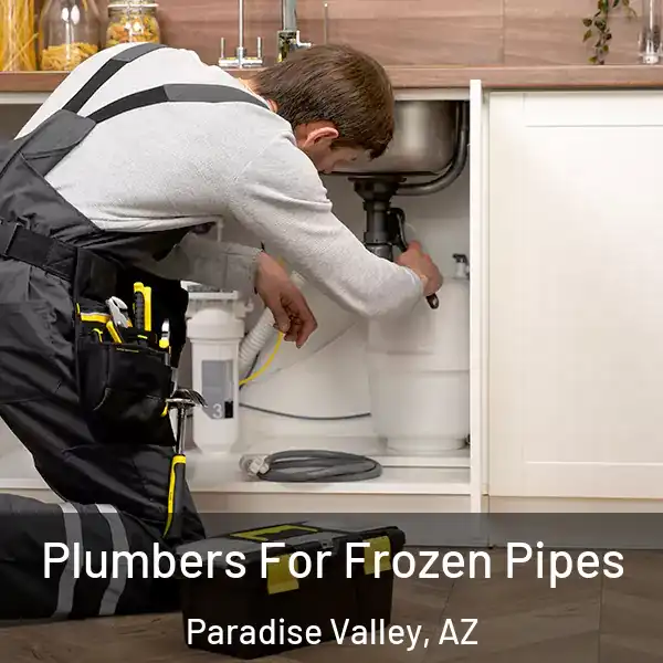  Plumbers For Frozen Pipes Paradise Valley, AZ
