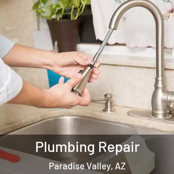  Plumbing Repair Paradise Valley, AZ