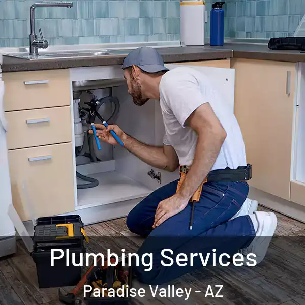  Plumbing Services Paradise Valley - AZ