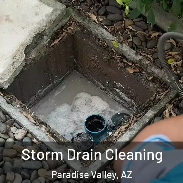  Storm Drain Cleaning Paradise Valley, AZ