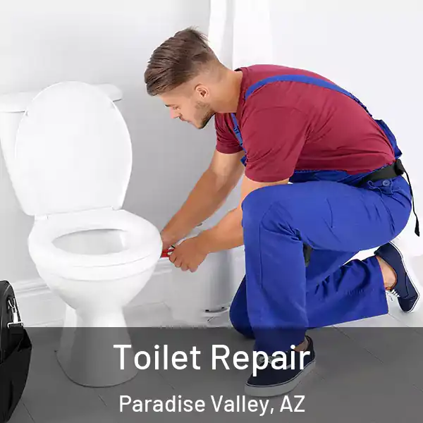 Toilet Repair Paradise Valley, AZ