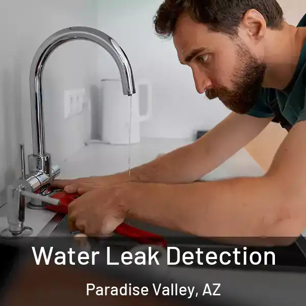  Water Leak Detection Paradise Valley, AZ